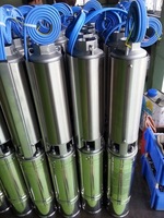 Bomba de Agua Sumergible de Alta Presión, Trifásica, de Acero Inoxidable, Multietapa, 0.75 HP, Salida de 1 1/4, para Riego, 1.2M