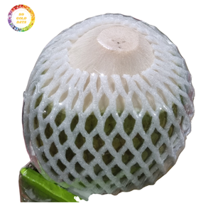 High Quality <b>Fresh</b> Young <b>Coconut</b> Whole Green <b>Coconut</b> for Juice Use Wholesale and Global Shipment - Product Image 6