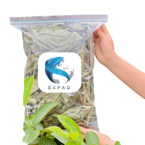 กระป๋องดีบุกใบ Psidium guajava แบบอบแห้งบริสุทธิ์นำเข้าจำนวนมาก2กก. ผู้ผลิตจากเวียดนาม - Product Image 2