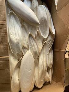 Hueso de Sepia Seco 100% Natural para Aves, Fuente de Calcio, Venta al por Mayor en Vietnam - Macy - Product Image 6