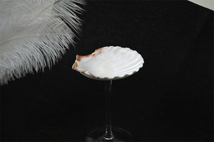 Copas de Vino Personalizadas con Diseño de Conchas Marinas 2026, Copas de Martini con Diseño de Conchas Marinas, Regalos para Damas de Honor de Boda, Regalos para Despedida de Soltera, Regalos de Aniversario - Product Image 5