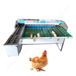 Egg Shell Cleaning and Size Sorter <b>Machine</b> Egg Grader <b>Machine</b> Price Stainless Steel Egg Sorter <b>Machine</b> - Product Image 5