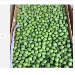 Olives vertes Kalamata de qualité supérieure, en gros, pour les professionnels de l'industrie alimentaire - Product Image 3