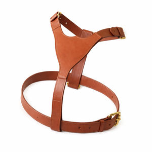 Harnais rembourré pour chien Chestnut Tugby, réglable, confortable, résistant, pour la promenade et l'entraînement, équipement durable pour animaux de compagnie - Product Image 4