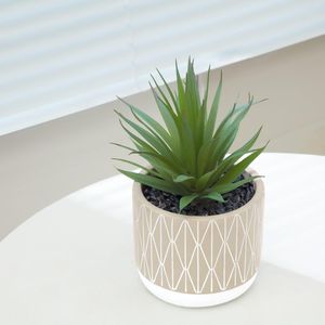Succulenta Artificiale Realistica da 20 cm in Vaso Stile Rustico per Decorazione Casa, Ufficio e Mensole - Pianta Verde per Casa e Ufficio - Product Image 4