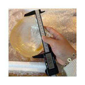 Vaisselle de luxe pour le thé de l'après-midi, assiette en nacre effet coquille d'huître super brillante pour gâteau et caviar - Product Image 6