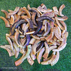 Écailles de corne de bélier artisanales de qualité supérieure pour manches de couteaux, 12 mm, matériau artisanal en corne naturelle à prix de gros - Product Image 3