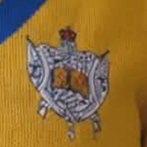 ชุดเดรสลำลองผู้หญิงพิมพ์ลายโล่ทองคำ Sigma Gamma Rho ดีไซน์หรูหราสไตล์กรีก แขนยาว แฟชั่นประดับกระดุมเพชร - Product Image 3
