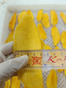 Tranches de mangue séchée douce du Vietnam, texture moelleuse, emballage en vrac pour services alimentaires et traiteur OEM/marque privée - Product Image 4
