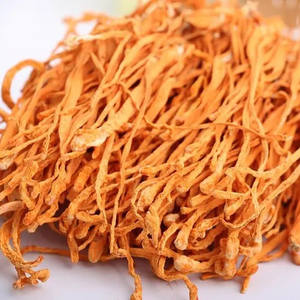 Cordyceps militaris แช่แข็งแห้งสำหรับแบรนด์อาหารเสริม - Product Image 1