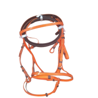 Bridon sans bit en PVC le plus vendu avec coiffure rembourrée douce – Équipement d'équitation western confortable et durable pour chevaux