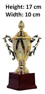 Trofeo Metálico Indio de Calidad de Exportación para Funciones Empresariales y Distribución de Premios Corporativos, Trofeo de Agradecimiento a Precio de Mayoreo - Product Image 6