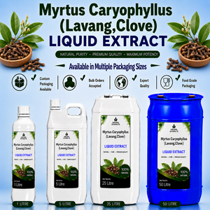 Suplemento Herbal Antioxidante Líquido Oral de Myrtus Caryophyllus, Grado Alimenticio Natural, Empaque a Granel - Product Image 1
