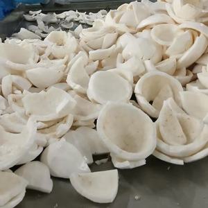 เนื้อมะพร้าวสีขาวแช่แข็งขนาดใหญ่สับ3x3ซม. ชิ้น iqf สำหรับอุตสาหกรรมอาหารแปรรูปกะทิและครีม - Product Image 5