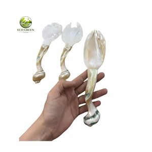 Cuchara Decorativa de Nácar Natural Hecha a Mano, Estilo Europeo, con Mango Largo, Ecológica, para Cocina y Comedor - Product Image 2