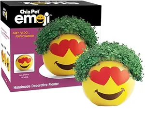 Neuheit Pflanze Geschenk Grün Home Chia Pet Garden Grow Kit Großhandel OEM DIY dekorative Keramik Chia Haustiere