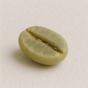 Vietnam <b>Robusta</b> Green <b>Coffee</b> <b>Beans</b> Wholesale Natural Unroasted Seeds Bulk OEM/ODM Export Grade 12% Moisture Pham Dinh Brand - Product Image 6