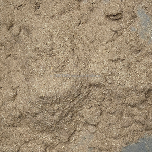 Polvo de bagazo de caña de azúcar de Vietnam para alimentación de ganado, aves de corral y rumiantes - Kim Minh International - Product Image 3