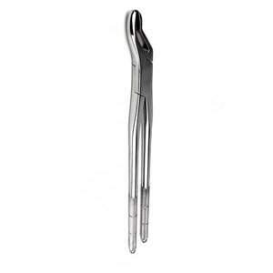 Forceps d'extraction dentaire équine en acier inoxydable, réutilisables, instruments dentaires vétérinaires professionnels pour l'élimination des dents de cheval - Product Image 2