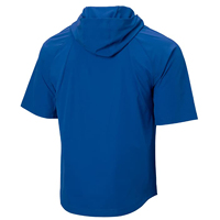 Veste de sport pour homme à manches courtes, demi-zip avant, col montant, style baseball Cage Jackets Sportswear, en vente