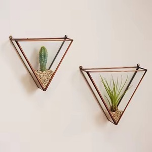 Premium Craft Display Metal Terrarium Glass Planter Elegant Indoor Plant Case Home Decor Accent - Product Image 2