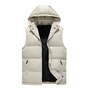 Gilet d'hiver décontracté pour homme 2026, coupe-vent, sans manches, en duvet, avec capuche unie et poches, gilet tendance en tissu chaud - Product Image 1
