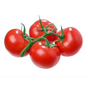 Tomates Cherry Redondos Frescos y Orgánicos de 25 kg TZ453G para Venta al por Menor y Uso en la Cocina - Product Image 6