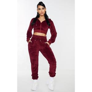 High Quality Custom Two-Piece Velvet <b>Ladies</b> Embroidered Eco-Friendly Hooded Tracksuit Set Breathable Streetwear Solid Color - Product Image 2