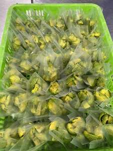 Premium IQF Frozen Avocado Chunks Export Quality from Vietnam - Product Image 1