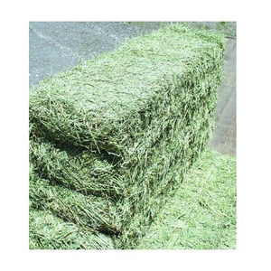 Heno de Alfalfa Orgánico Premium / Heno de Pasto Rhode / Heno de Timothy, Alimento para Animales en Venta - Product Image 1