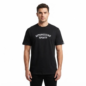 T-shirt personnalisé brodé 100% coton, logo brodé, streetwear décontracté, tee-shirt tendance, qualité supérieure, vente en gros OEM ODM - Product Image 1