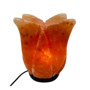 Rehaussez votre espace avec cette lampe ionisante en sel de l'Himalaya de haute qualité, de forme géométrique, faite à la main, au toucher réel, avec des bienfaits Feng Shui - Sian - Product Image 5