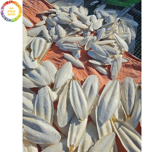 Os de Seiche Séché et Frit sous Vide de Qualité Supérieure, Friandise Naturelle à Mâcher pour Oiseaux : Perroquet, Budgie, Pinson, Canaris, Volière – Fournitures pour Animaux de Compagnie - Product Image 2