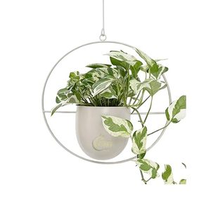 Pot de fleurs suspendu minimaliste moderne avec cadre métallique circulaire pour plantes vertes - Product Image 2