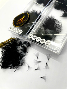 Extensions de cils pré-faits en éventail 14D, faciles à poser, naturelles et personnalisées, haute qualité, usage professionnel en salon, meilleures ventes Vietnam - Product Image 2