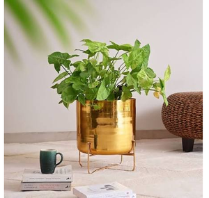 Brass Decorative Planter Pot Luxury home decor decorative vase planter modern plant decor elegant planter pot - Product Image 4