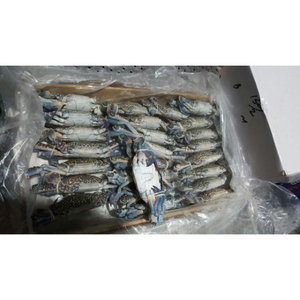 Cangrejo Azul Congelado de Primera Calidad, Venta al Por Mayor, Suministro a Granel, Listo para Enviar, Grado Alimenticio, Exportación Global - Product Image 1