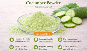HGO Suministro directo de fábrica Polvo de pepino natural puro (grado alimenticio) Especificación Polvo vegetal (polvo de frutas o vegetales) - Product Image 5