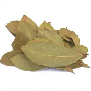 <b>2KG</b> Bay Leaf(Laurus Nobilis) Essential Oil Steam Distilled - For Aromatherapy & Cosmetics Formulations - Wholesale Bulk Supplier - Product Image 6