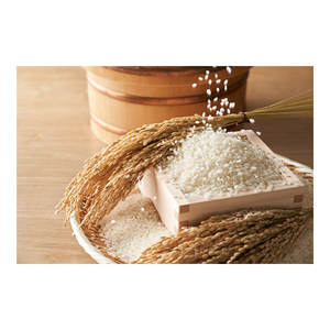 Arroz Blanco para Sushi de Primera Calidad, Variedades Industriales Japonesas, Amplia Gama, a Granel - Product Image 1