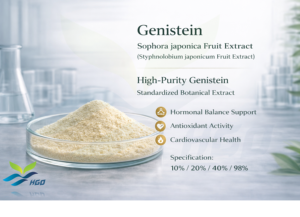 Suministro Directo de Fábrica HGO, Extracto Puro y Natural de Fruta de Sophora japonica, Genisteína 80% - Product Image 3