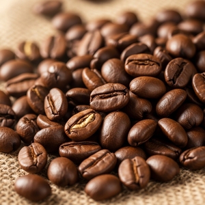 เมล็ดกาแฟอาราบิก้าออร์แกนิก เรนฟอเรสต์ ซีเล็ค คั่วพิเศษ กลิ่นหอมบริสุทธิ์ 98% สำหรับร้านกาแฟอาร์ติซาน ตอบโจทย์ความต้องการในตลาด - Product Image 4