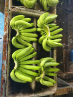 Verse Cavendish Banaan Vietnam Export Kwaliteit Premium Zoete Smaak Concurrerende Prijs Bulkaanbod