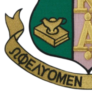 Patch brodé Alpha Kappa Alpha rose et vert, à coudre ou thermocollant, pour vestes, sweats, sacs, chapeaux et vêtements - Product Image 3