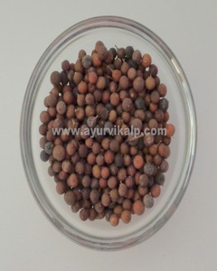 Proceso de extracción de fluidos súper críticos de extracto de plantas de alta calidad Vavding - Product Image 4