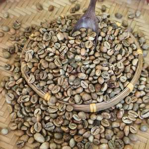 เมล็ดกาแฟโรบัสต้าสีเขียวราคาถูก เกรด 13,16,18 สีดำ แตกหักน้อย อัตราการสุกสูง สายพันธุ์สีเขียวและดิบ ผ่านกระบวนการ - Product Image 6