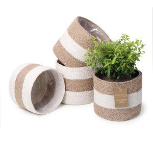 Vases et pots à fleurs en bois de manguier et en jute, fabrication sur mesure, vente en gros OEM |   Aqdus Saleem Inde - Product Image 2