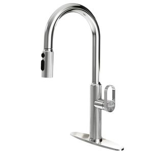 Rubinetto da Cucina Estraibile - Product Image 1