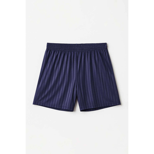 Men's Navy Blue Quick Dry <b>Elastic</b> Waist Shorts Casual Sport Wea - Product Image 1