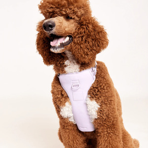 Arnés de Perro de Neopreno de Lujo con Logotipo Personalizado Bordado, Ajustable, Antitirones, Ecológico, con Correa, Collar, Bandana y Bolsa para Excrementos - Product Image 6